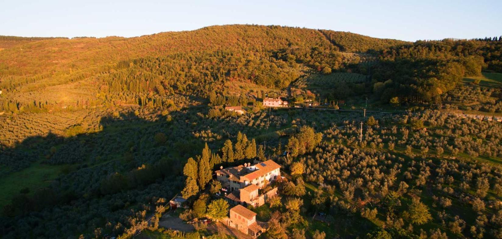 הוילה Fattoria Poggio Di פייזולה מראה חיצוני תמונה