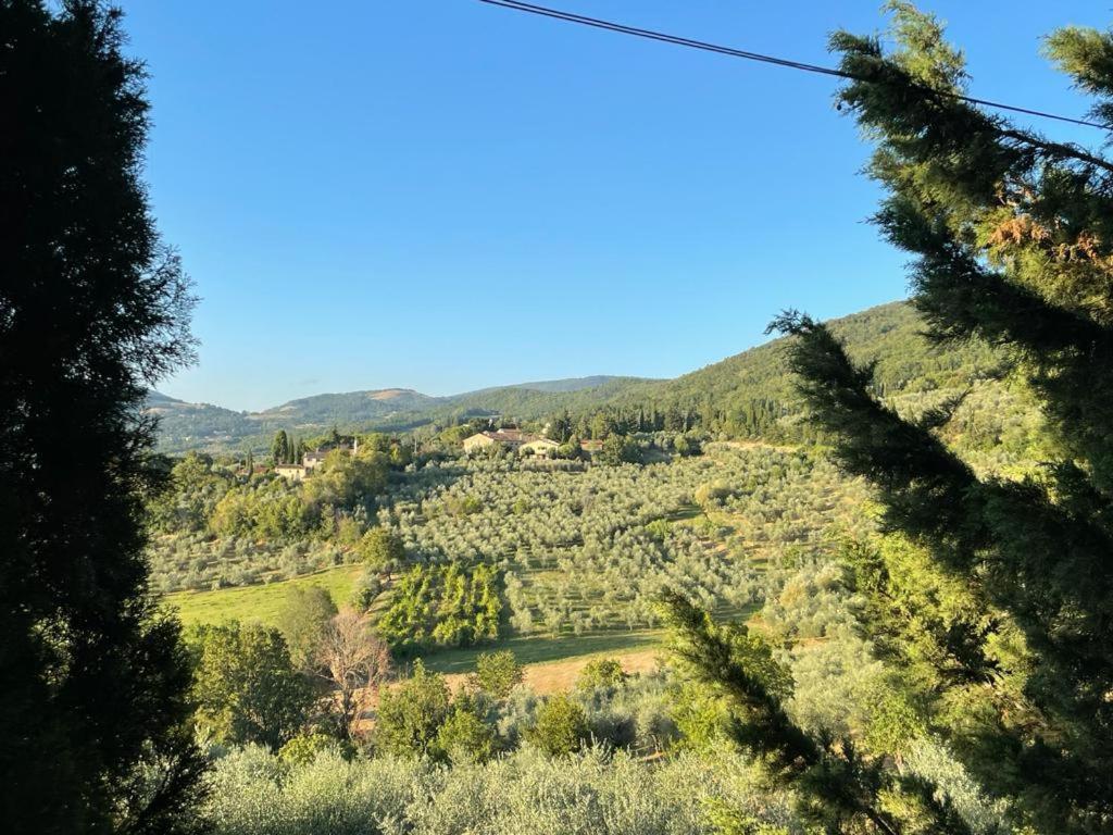 הוילה Fattoria Poggio Di פייזולה מראה חיצוני תמונה