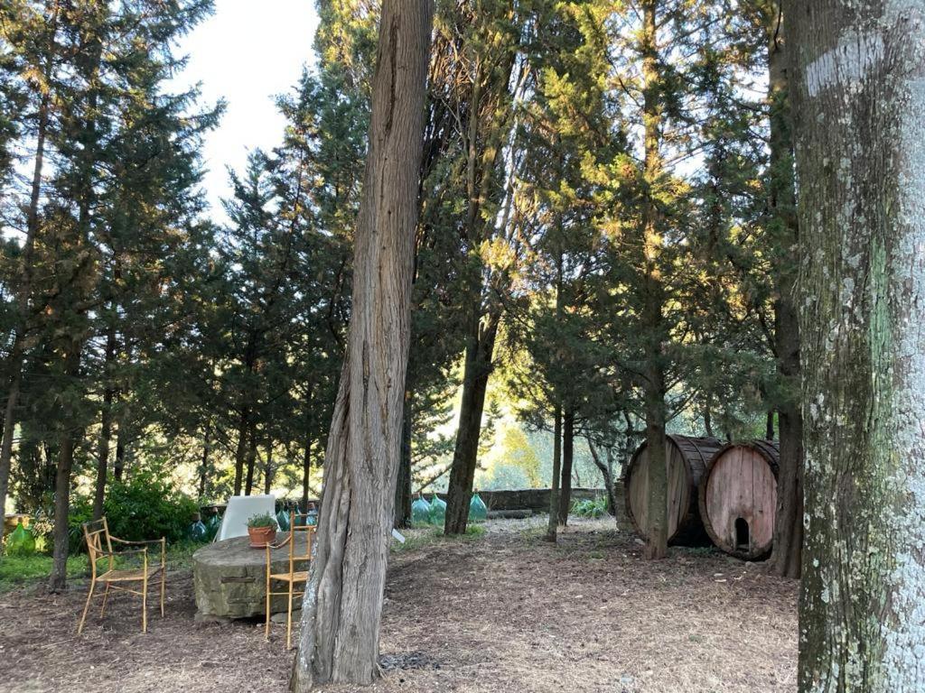 הוילה Fattoria Poggio Di פייזולה מראה חיצוני תמונה